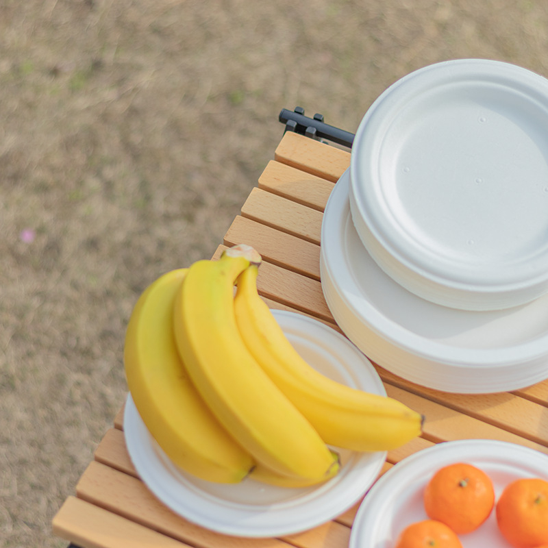 Set 50 đĩa nhựa dụng một lần, đĩa nhựa đựng thức ăn, hoa quả…. Dùng cho bữa tiệc, picnic, dã ngoại…. tiện dụng