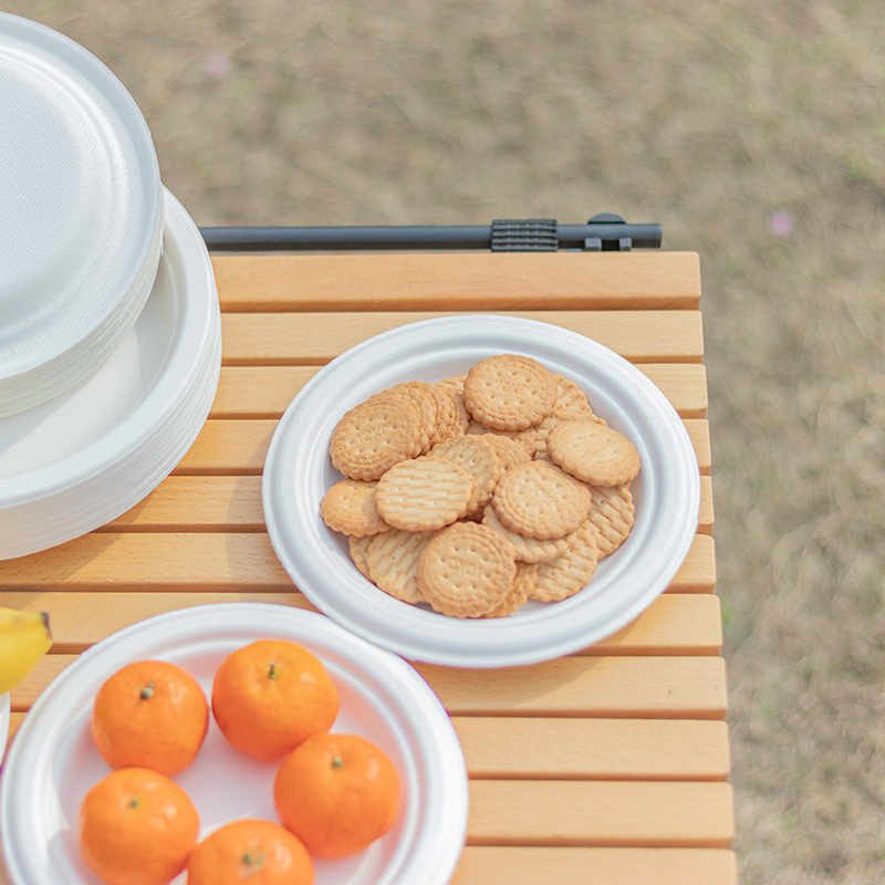 Set 50 đĩa nhựa dụng một lần, đĩa nhựa đựng thức ăn, hoa quả…. Dùng cho bữa tiệc, picnic, dã ngoại…. tiện dụng