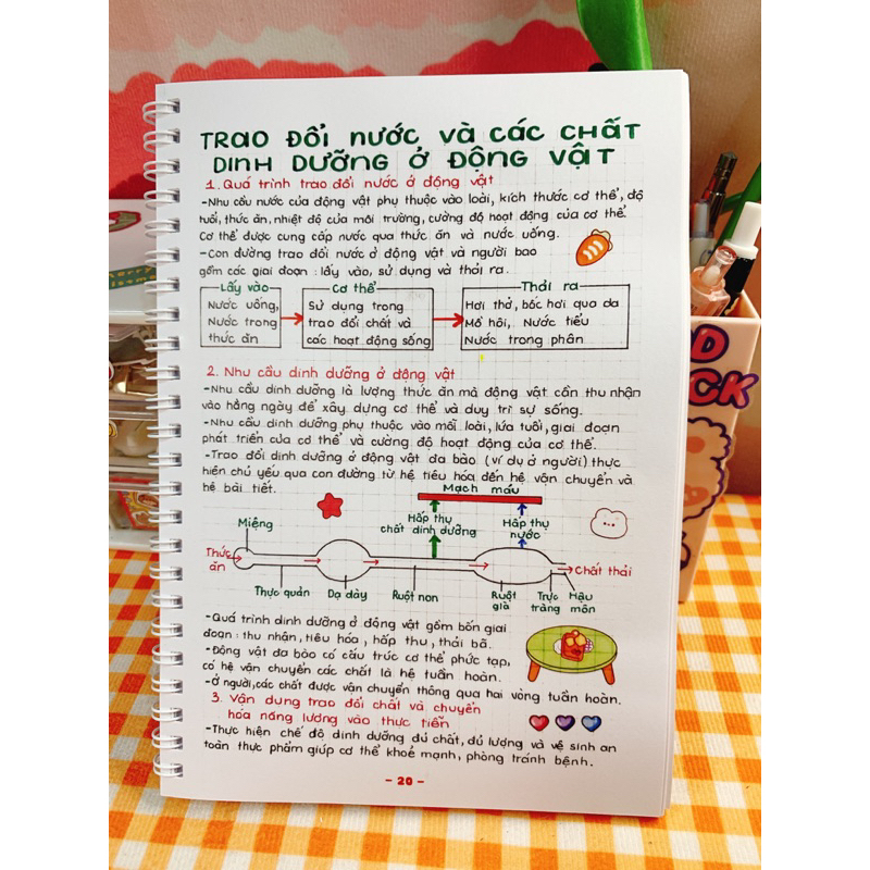 Sổ tay KHOA HỌC TỰ NHIÊN 6-8