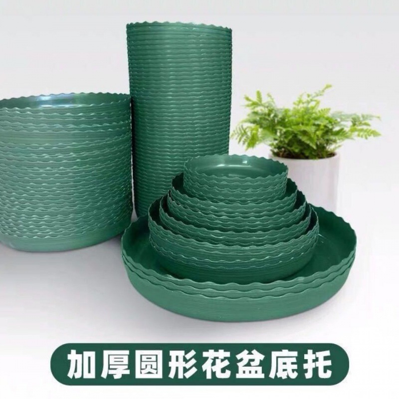 Đĩa lót chậu nhựa Trung Quốc 3Gl dáng lùn màu xanh lá, đường kính 20cm