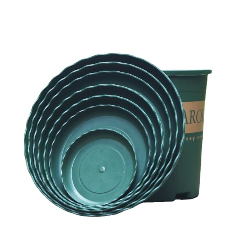 Đĩa lót chậu nhựa Trung Quốc 3Gl dáng lùn màu xanh lá, đường kính 20cm