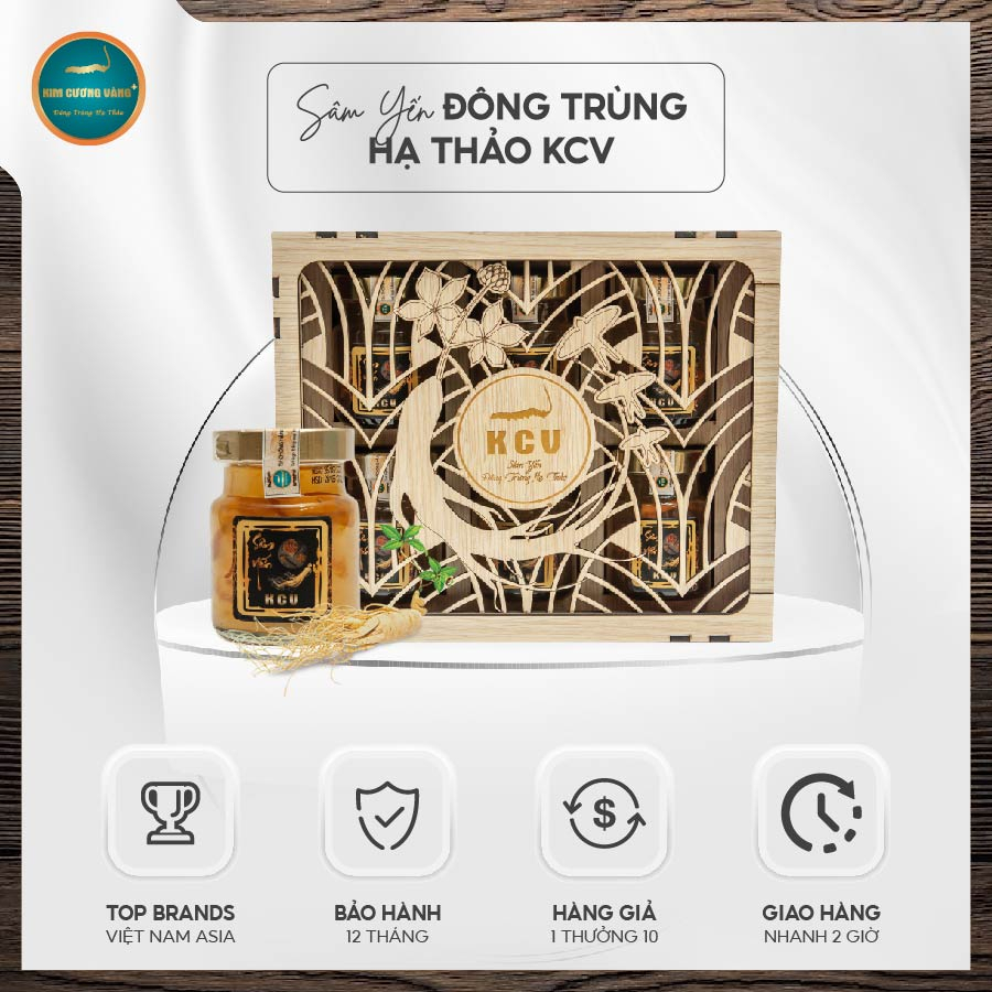 YẾN CHƯNG ĐÔNG TRÙNG HẠ THẢO
