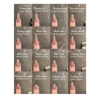 Nails box đính xà cừ lấp lánh (ảnh thật)