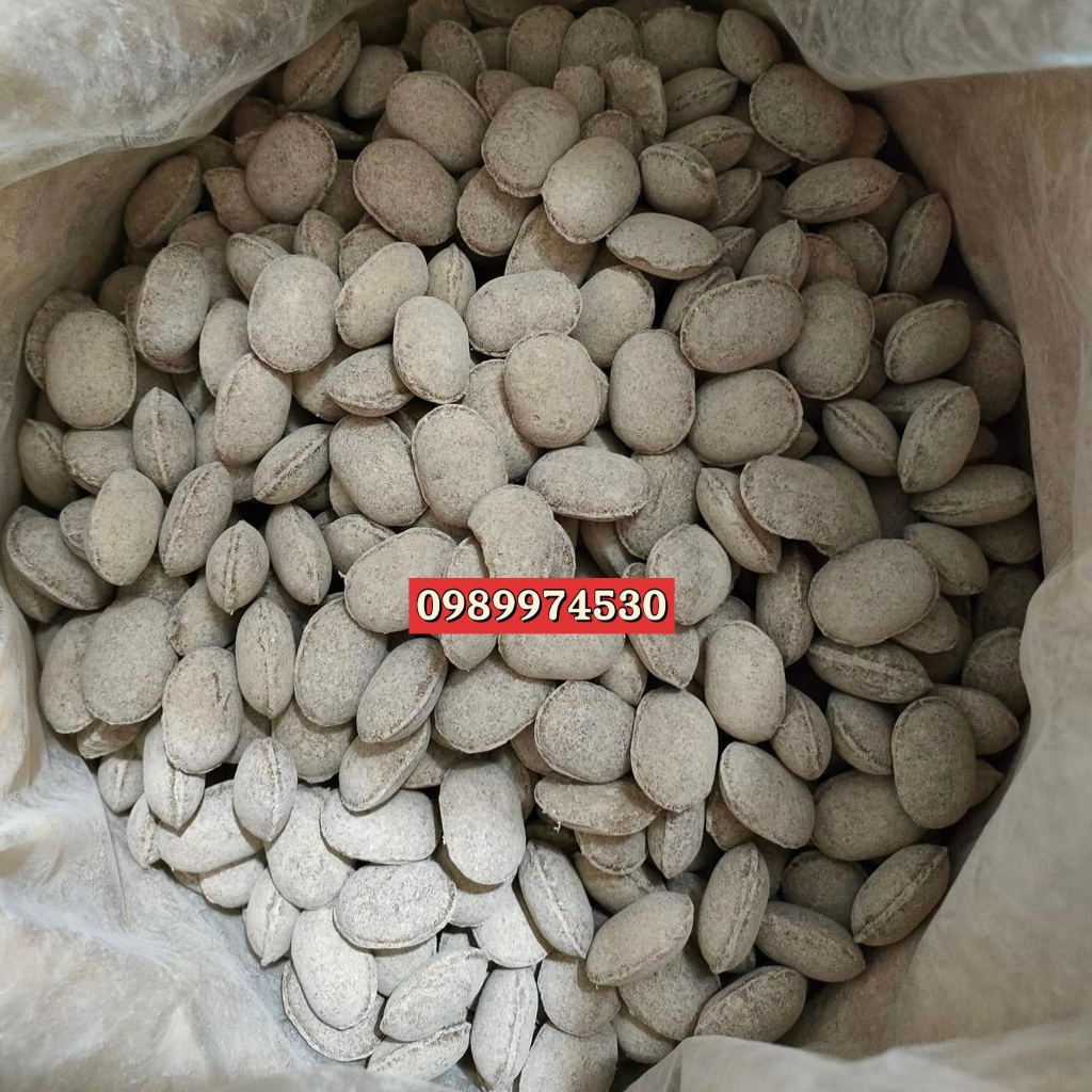 Phân Tan Chậm Hạt Bàng Nhật Nurseryase 12-6-6, Phân Hạt Bàng, Chuyên Dùng Cây Bonsai, Cây Cảnh Kiểng