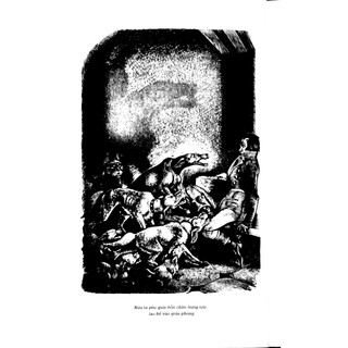 Sách Đỉnh Gió Hú Bìa Mềm Emily Brontë