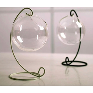 Chậu cây trồng cây nuôi cá và giá treo tặng cây trang trí