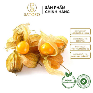Cây tầm bóp sấy khô thương hiệu SATOSO gói 1kg