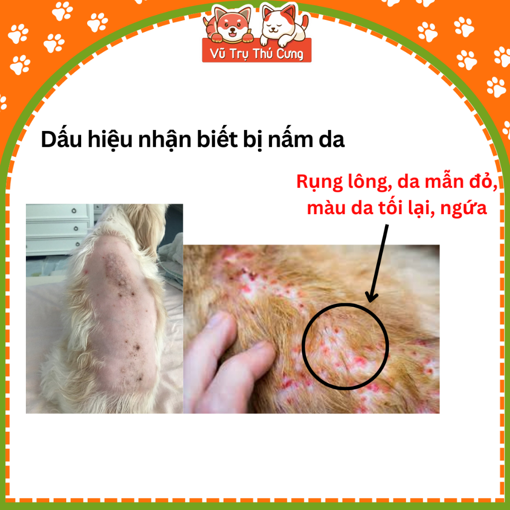 Dung dịch xịt ve, ghẻ cho Chó mèo Mitecyn Alkin 50ml