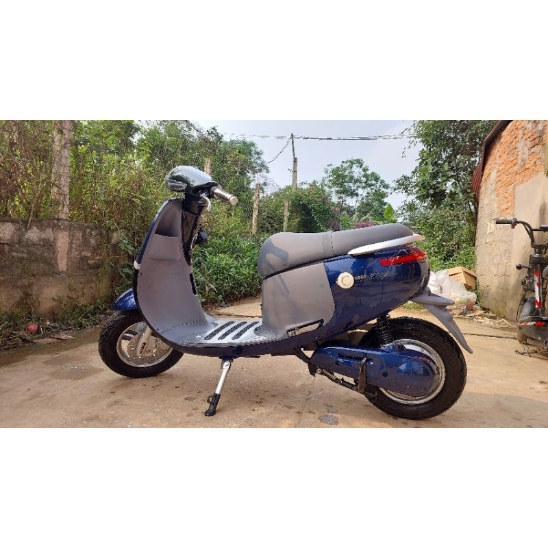 xe điên gogo