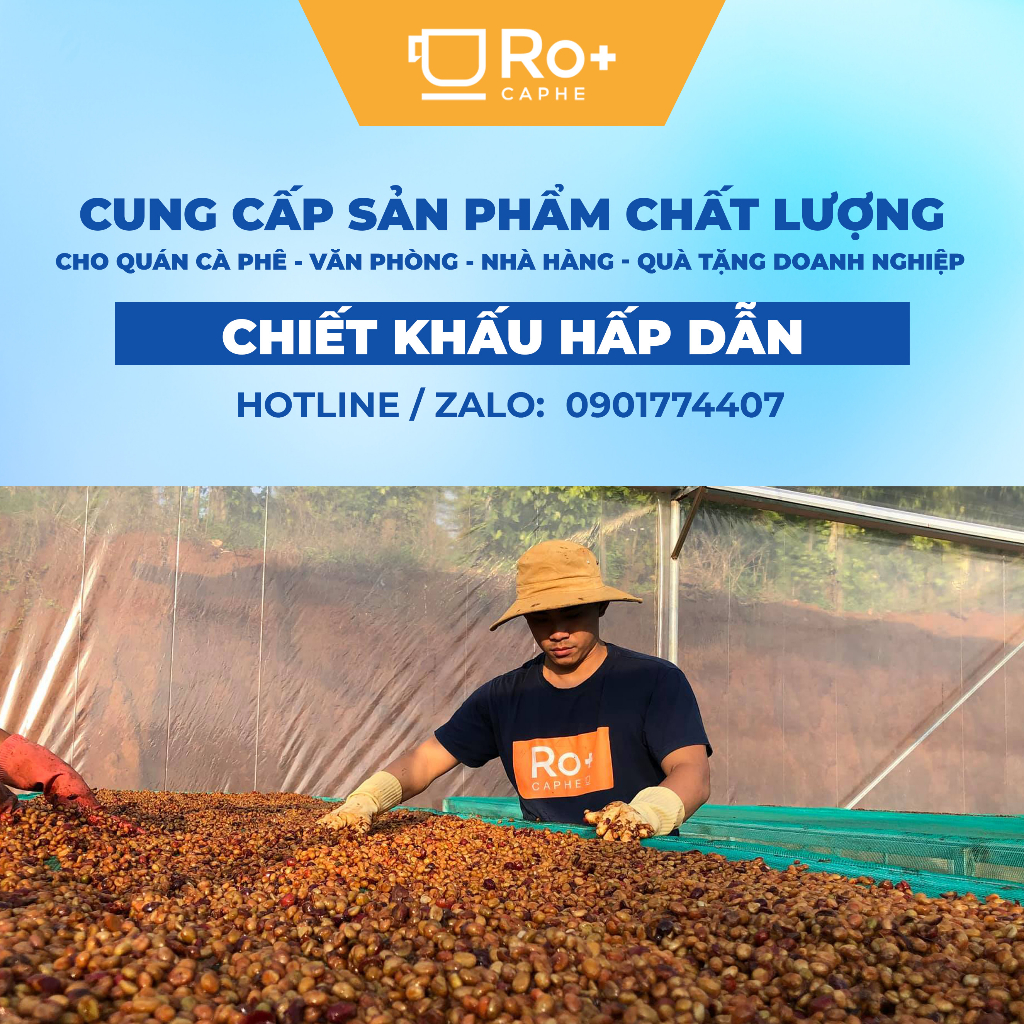 Giá đỡ phin cà phê cao cấp Phiên bản giới hạn Roplus