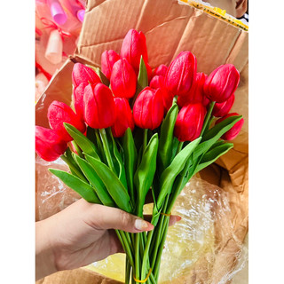 Hoa tulip cao su non ( đầu hoa nhỏ)