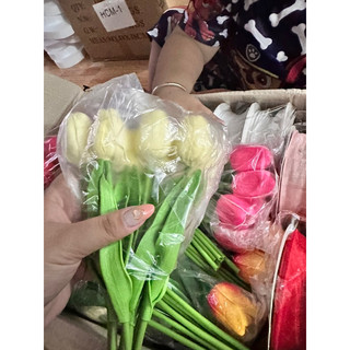 Hoa tulip cao su non ( đầu hoa nhỏ)