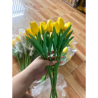 Hoa tulip cao su non ( đầu hoa nhỏ)