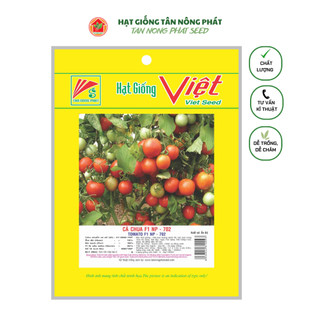 Hạt giống cà chua np702 0,1gr