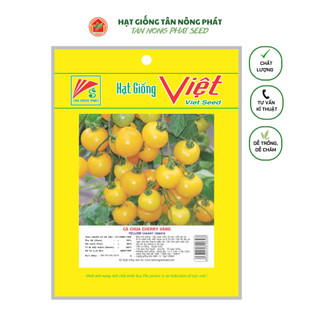 Hạt giống cà chua bi, cà chua cherry vàng_ gói 0,1gr