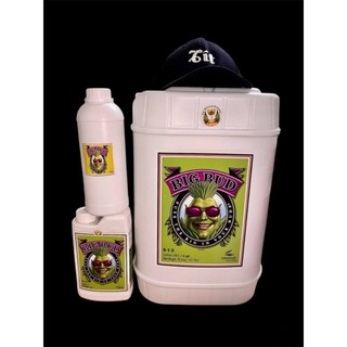 Big bud advanced nutrient, AN ,kích búp, kích bud, big bud,Big Bud, nở hoa, tăng sản lượng, phân bón, dinh dưỡng cho cây