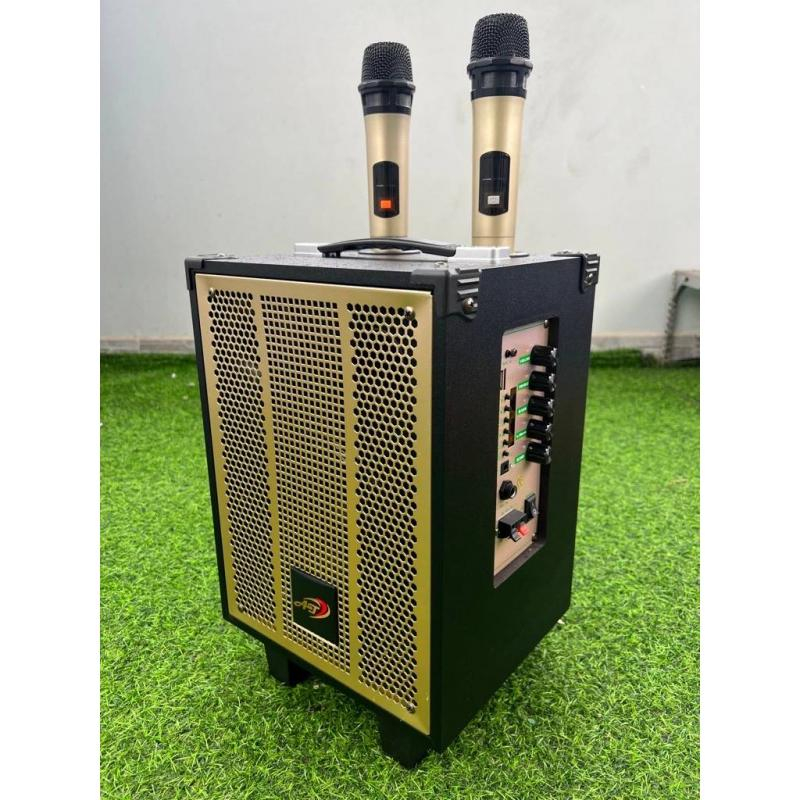 Loa Karaoke Di Động AT-T9, Bass 20, Âm Thanh Chắc, Tiếng Lớn Không Bị Rè, Mic Hát Vang - Tặng Kèm 2 Mic Không Dây