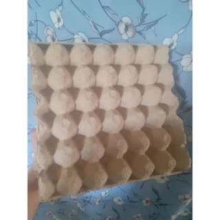 Vĩ giấy đựng trứng gà 1 kg 11 vĩ đã qua đựng trứng