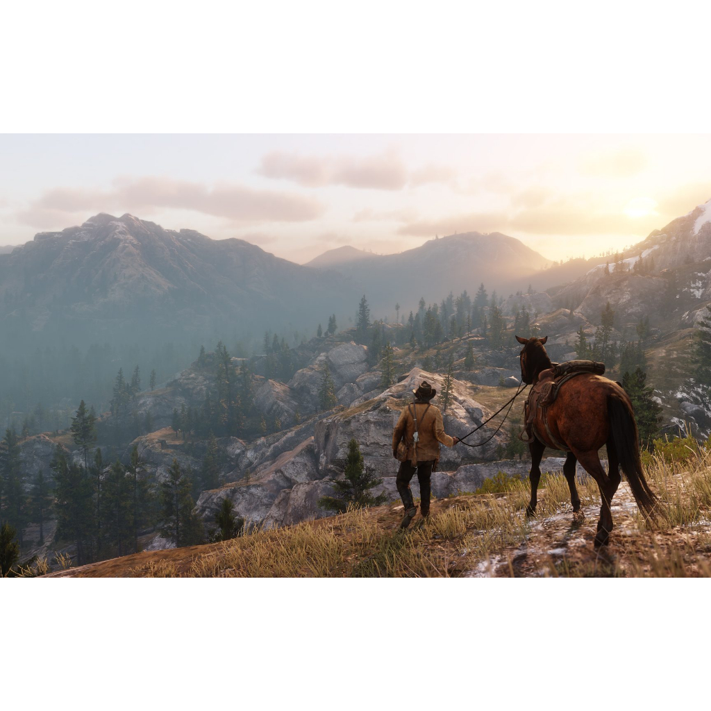 Đĩa Game 2ND Red Dead Redemption 2 cho máy PS4 PS5