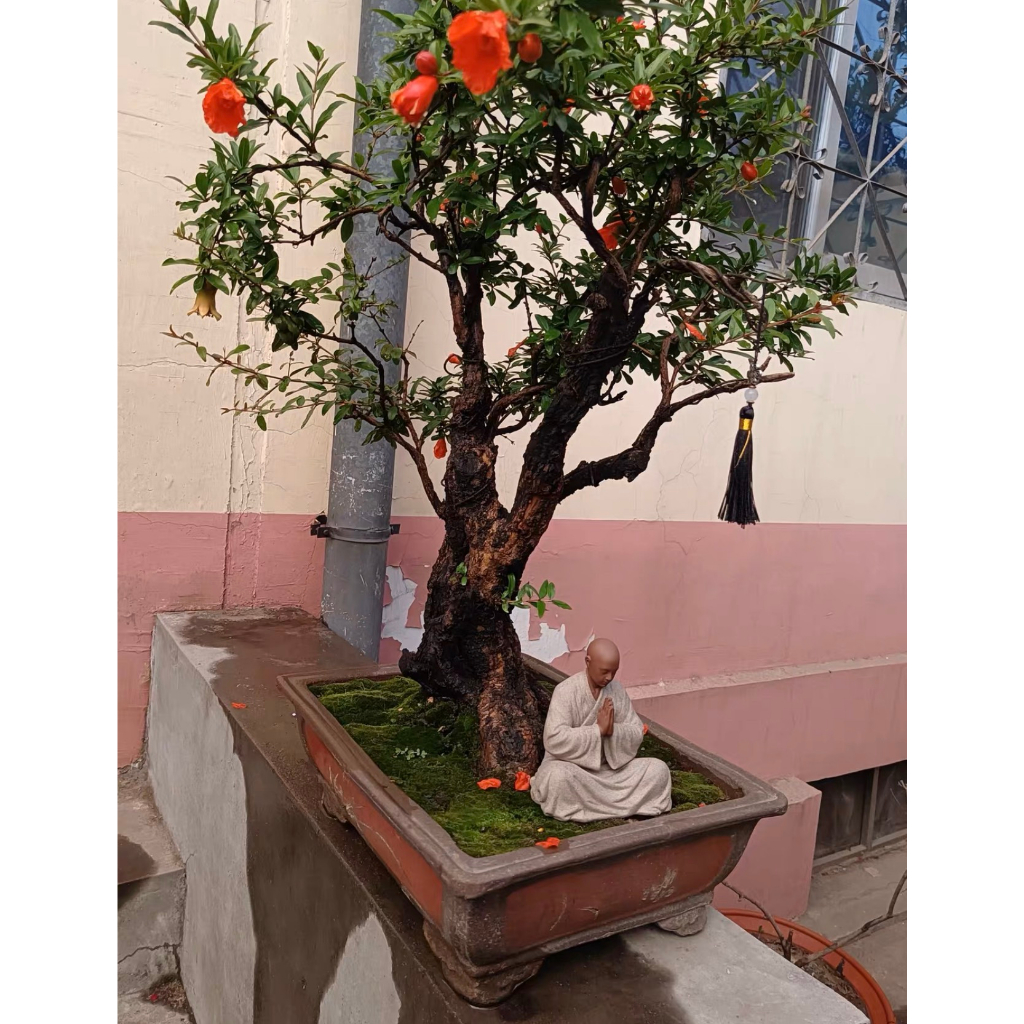 Tượng Thiền Sư