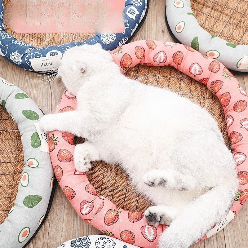 Thảm Mát Chiếu Điều Hòa cho chó mèo nhiều màu sắc hình dáng chất lượng