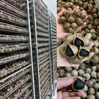 500gr Tỏi đen cực thơm ngon thơm mới nhất