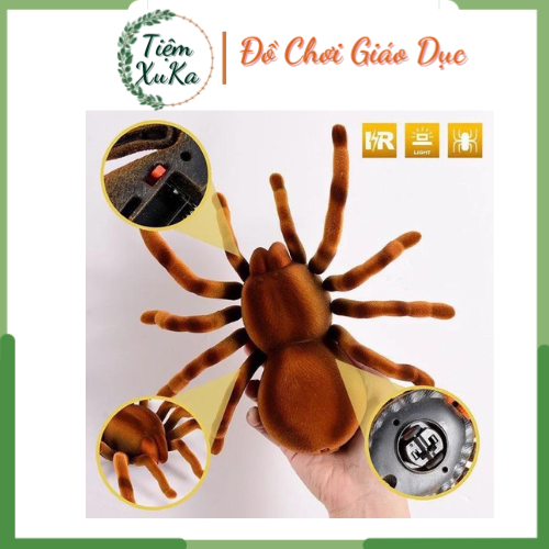 Đồ chơi Robot điều khiển mô hình Nhện Tarantula 9986M