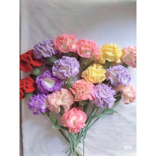 Bông hoa cẩm chướng handmade