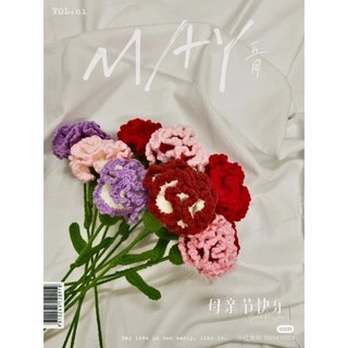 Bông hoa cẩm chướng handmade
