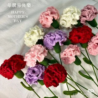 Bông hoa cẩm chướng handmade
