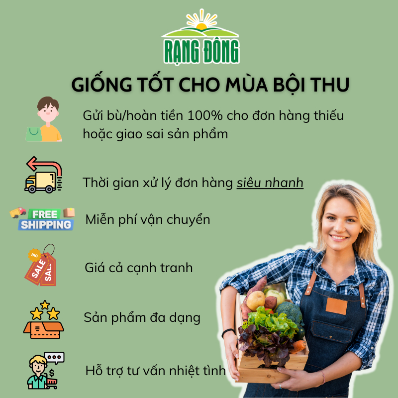 Hạt giống Rau Củ Quả trồng theo mùa ở miền Nam, tháng 9 này trồng rau gì? - Hạt giống Rạng Đông