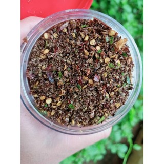 Muối chấm Chẳm Chéo dân tộc Thái Sơn La 100% nguyên liệu tự nhiên an toàn cho bầu bì