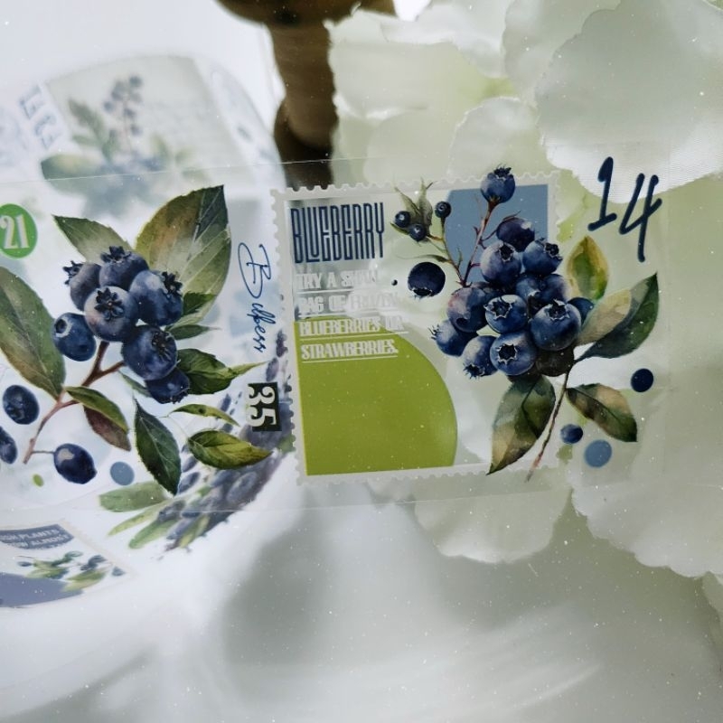 𝓚𝓻𝓲𝓼𝓷𝓪.𝓻𝓸𝓸𝓶 ♡ DTB studio- Chu kì 70cm cuộn băng dán hình quả "𝑩𝒍𝒖𝒆𝒃𝒆𝒓𝒓𝒚 𝒎𝒊𝒅𝒔𝒖𝒎𝒎𝒆𝒓"