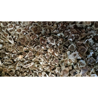 250 gram hạt chùm ngây