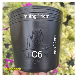 Chậu nhựa đen C6 , chậu trồng cây , kiểng, rau, ươm cây , ươm hạt giống ...