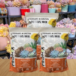 Ch - 2kg giá thể promix đất trồng sen đá, xương rồng, cây mọng nước- trộn sẵn