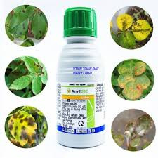 Thuốc trừ nấm bệnh Anvil 5SC chính hãng Syngenta -Thuỵ Sỹ