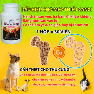 Bổ sung canxi và phốt pho cho chó mèo