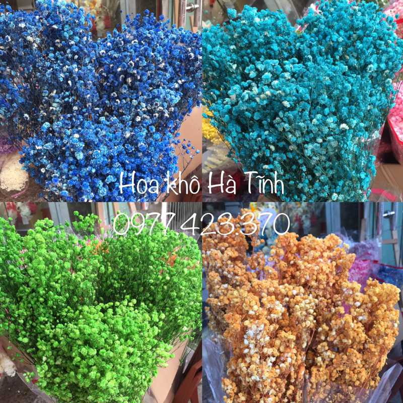 BÓ HOA KHÔ MINI VINTAGE nhiều màu