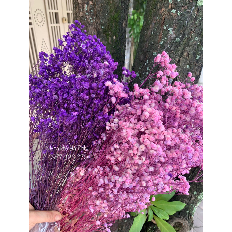 BÓ HOA KHÔ MINI VINTAGE nhiều màu