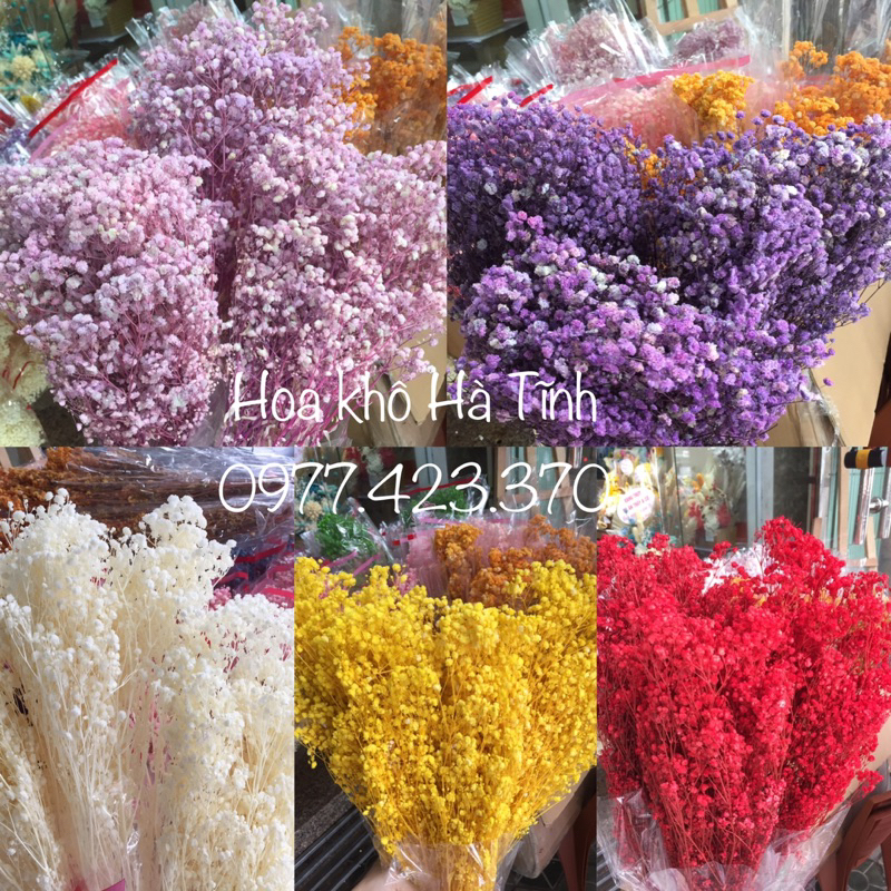 BÓ HOA KHÔ MINI VINTAGE nhiều màu