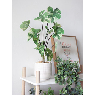 Cây mini giả để bàn kèm chậu đất nung trang trí nhà cửa - Jassi Decor
