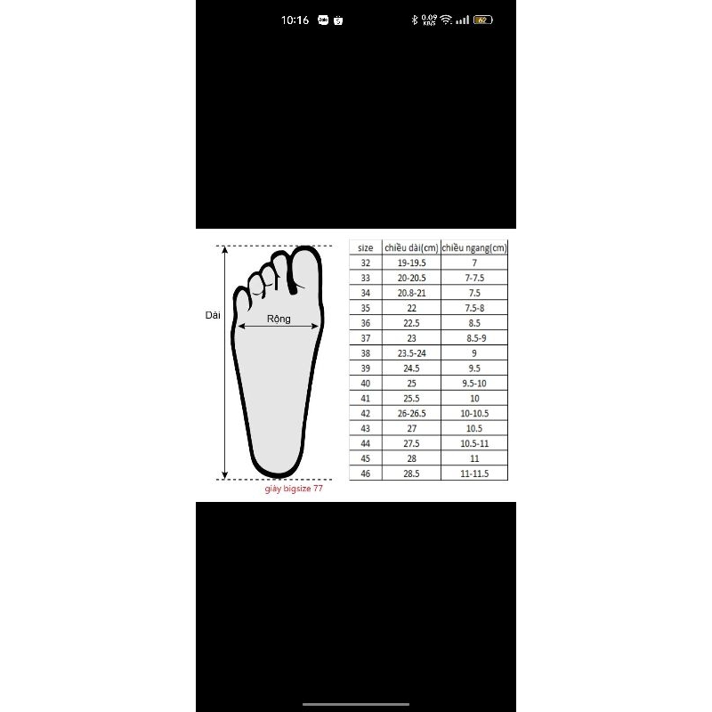 Giày cao gót bít mũi 7 phân sang trọng  bigsize từ 32-45