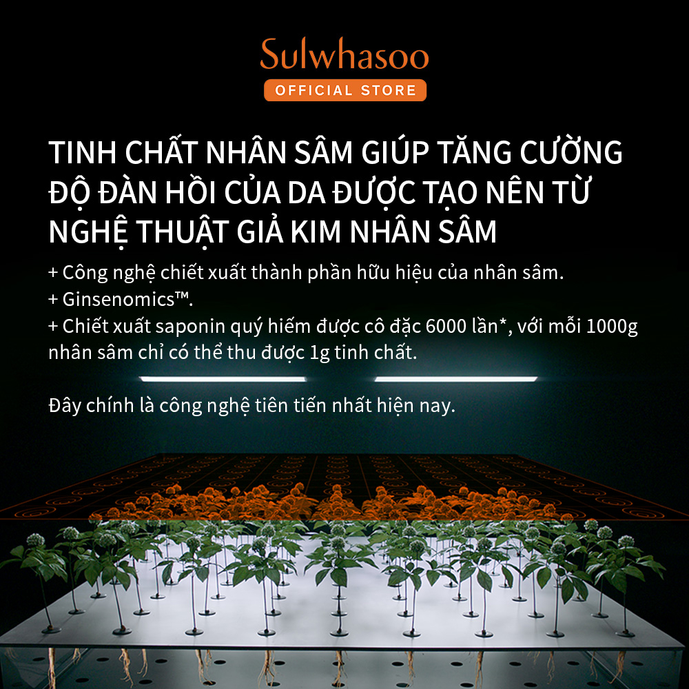 Tinh Chất Nhân Sâm Ngăn Lão Hóa Săn Chắc Da Sulwhasoo Concentrated Ginseng Renewing Serum 50ml