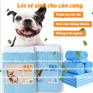 Tã lót xanh PAD cho chó mèo khử mùi siêu thấm hút 1.2kg