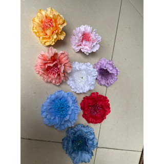 Bông hoa cẩm chướng