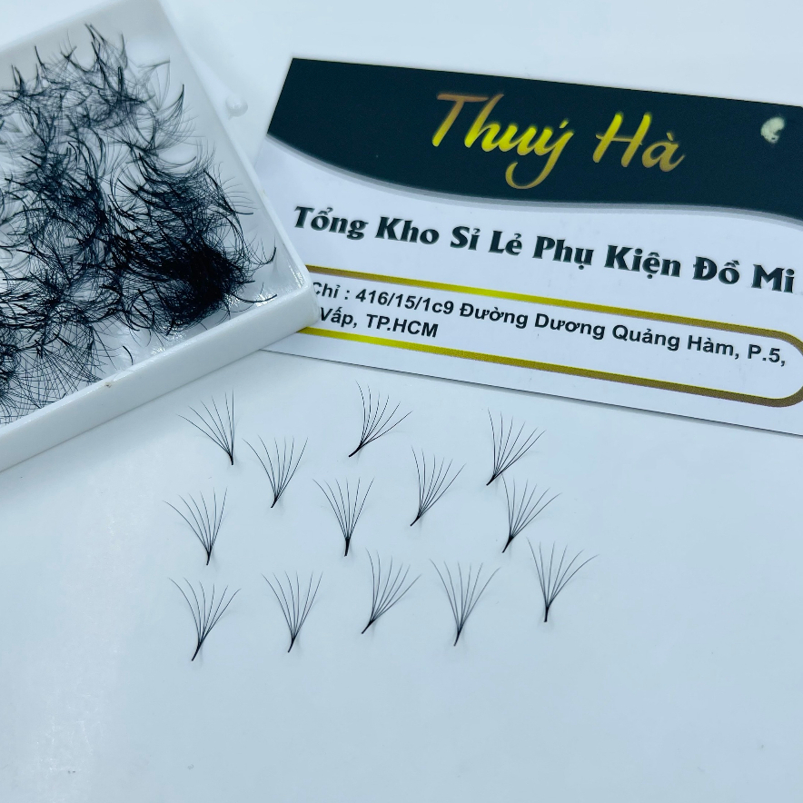MI FAN 6D - C-cc -D 0.07 HỘP 500 FAN - DỤNG CỤ NỐI MI - THUÝ HÀ