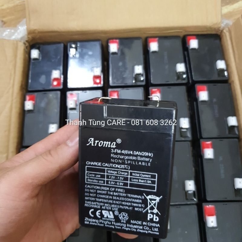 Ắc Quy Xe Điện Trẻ Em Globe 6V-5Ah Việt Nam