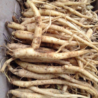 Đẳng sâm - Đảng Sâm ( Thượng Hạng) 1kg