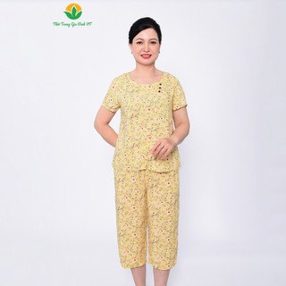 Bộ lanh trung niên quần dài áo cộc tay cổ đính khuy B06.2218 - Lanh Việt Thắng